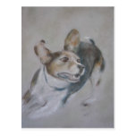 Sparky Dog:  Running Post Card