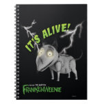 Sparky: It's Alive Notebooks