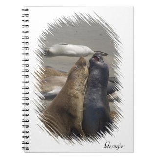Sparring Elephant Seals Notebook notebook