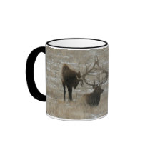 Sparring Elk mugs by prcphoto Sparring Elk mugs