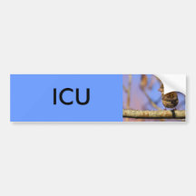Sparrow Bumper Stickers