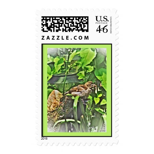 Sparrow Cooling Off Postage Stamps