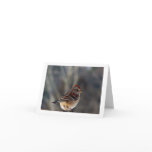 Sparrow Encouragement Note Card