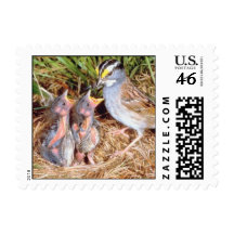 Sparrow feeding offsping stamp