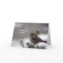 Sparrow, His eye is on the Sparrow! cards by bluebirdcanflyphotos Sparrow, His eye is on the Sparrow! cards