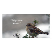 Sparrow, His eye is on the Sparrow! photo cards