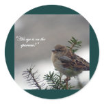 Sparrow, His eye is on the Sparrow! stickers
