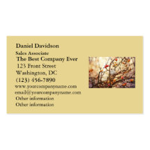 Sparrow in a Crab Apple Tree Business Card Templates