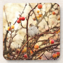 Sparrow in a Crab Apple Tree Drink Coasters