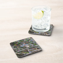 Sparrow in the Brush 2 Beverage Coasters
