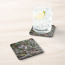 Sparrow in the Brush Beverage Coasters