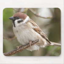 sparrow mousepads
