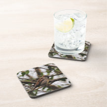 Sparrow on a Branch 2 Beverage Coasters