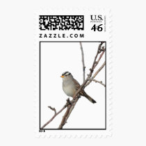 Sparrow on a branch Postage Stamps stamps
