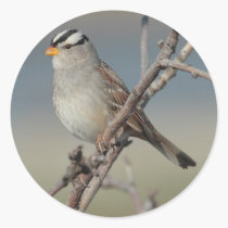 Sparrow on a Branch Sticker stickers