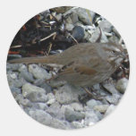 Sparrow on the Beach on Unalaska Island Round Stickers