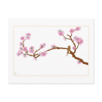 Sparrow on Tree - Postcard