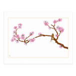 Sparrow on Tree - Postcard
