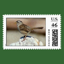 Sparrow postage by erin_kathleen Sparrow postage