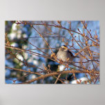 Sparrow Print