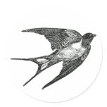 sparrow stickers