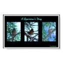Sparrow's Day posters