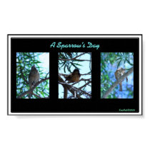 Sparrow's Day posters