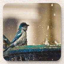 Sparrows In Blue Beverage Coasters