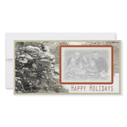 Sparrows in snowy tree holiday Photo Card photocard