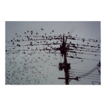 Sparrows r flying posters by writer113 Sparrows r flying posters