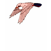 Sparrows t-shirts