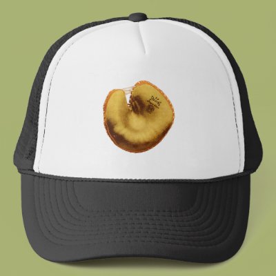 Spaulding Baseball Glove Hats Zazzle_hat