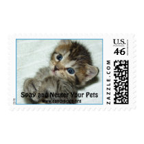 Spay and Neuter Your Pets 2 Postage Stamp