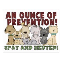 Spay and Neuter Your Pets Postcard