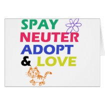 SPAY cards