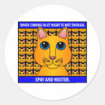 Spay Neuter1C Round Stickers