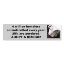 Spay Neuter Adopt Bumpersticker Bumper Stickers