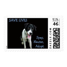 Spay Neuter ADOPT - RESCUE Stamps