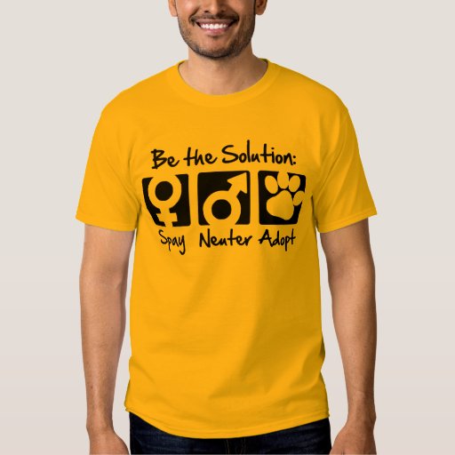 t shirt to cover spay incision