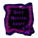 spay neuter adopt t-shirts by lissame73 spay neuter adopt t-shirts