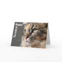 Spay / Neuter cards by 3kitty Spay / Neuter cards