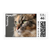 Spay / Neuter postage by 3kitty Spay / Neuter postage