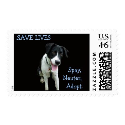 Spay Neuter Postage Stamp by laducb