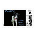 Spay Neuter postage