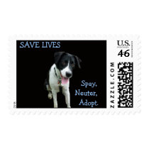 Spay Neuter postage