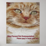 Spay/Neuter Poster