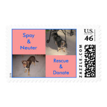 Spay Neuter Rescue Donate 2 Postage Stamps