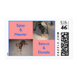 Spay Neuter Rescue Donate 2 Postage Stamps