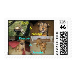 Spay, Neuter, Rescue, Donate Postage Stamps