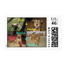 Spay, Neuter, Rescue, Donate Postage Stamps